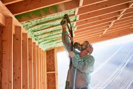 Best Basement Insulation  in Barton Creek, TX